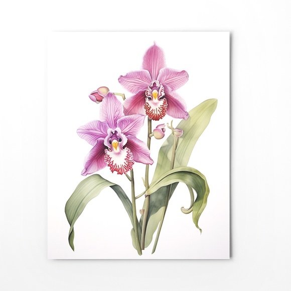 Watercolor Orchids Wall Art Illustration Print Poster Unframed - Picture 6 of 6